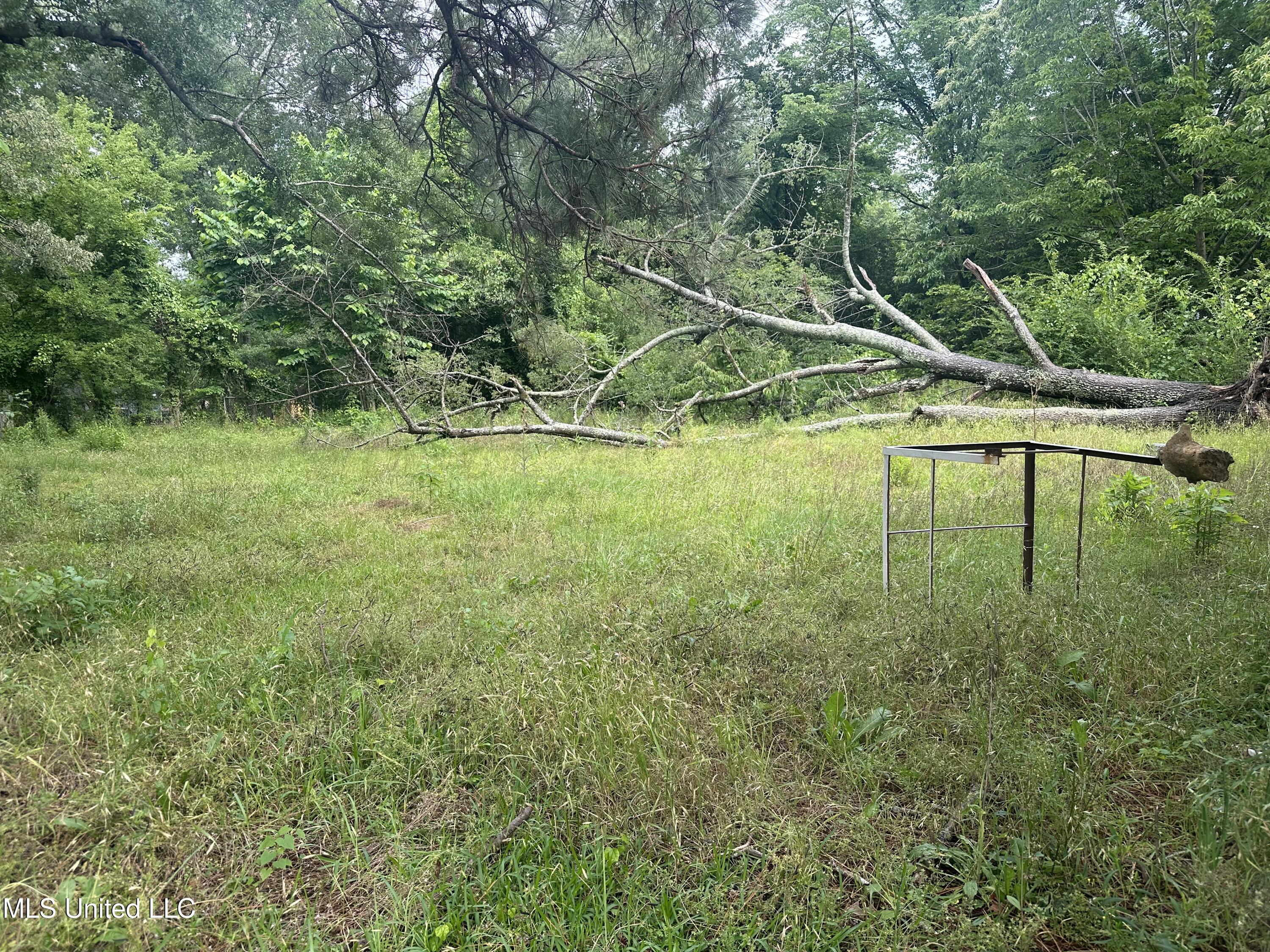 3764 Camilla Drive, Jackson, Mississippi image 17