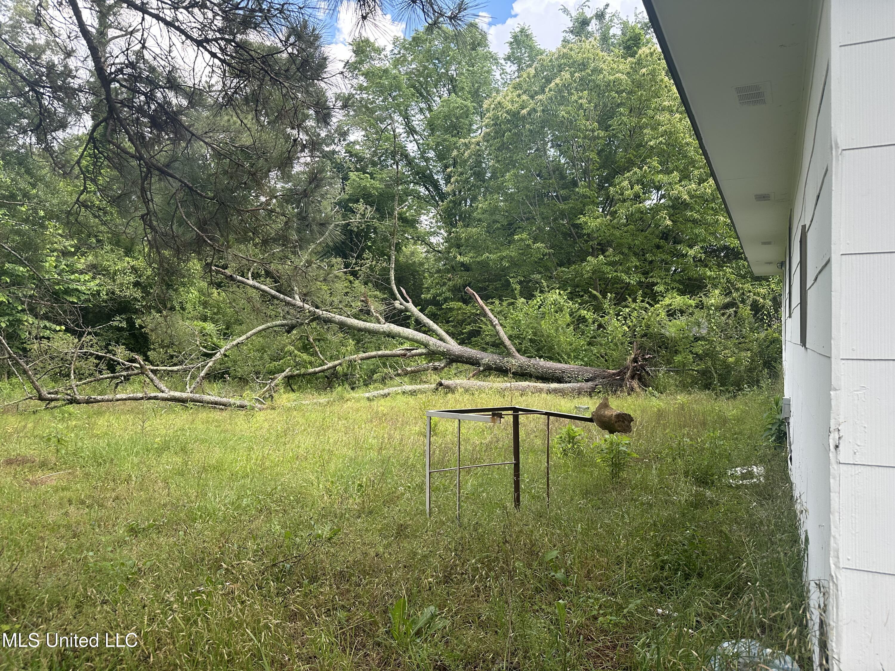 3764 Camilla Drive, Jackson, Mississippi image 18