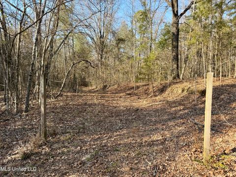 Vacant Land For Sale - Attala Rd 4136<br/> Attala County, Sallis, MS 39160