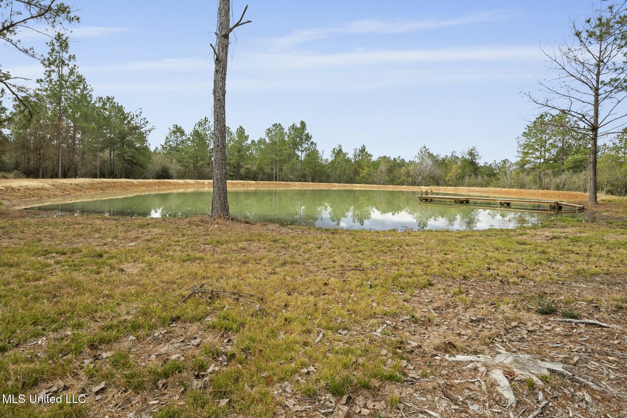 103 Trail Ridge Road, Perkinston, Mississippi image 18