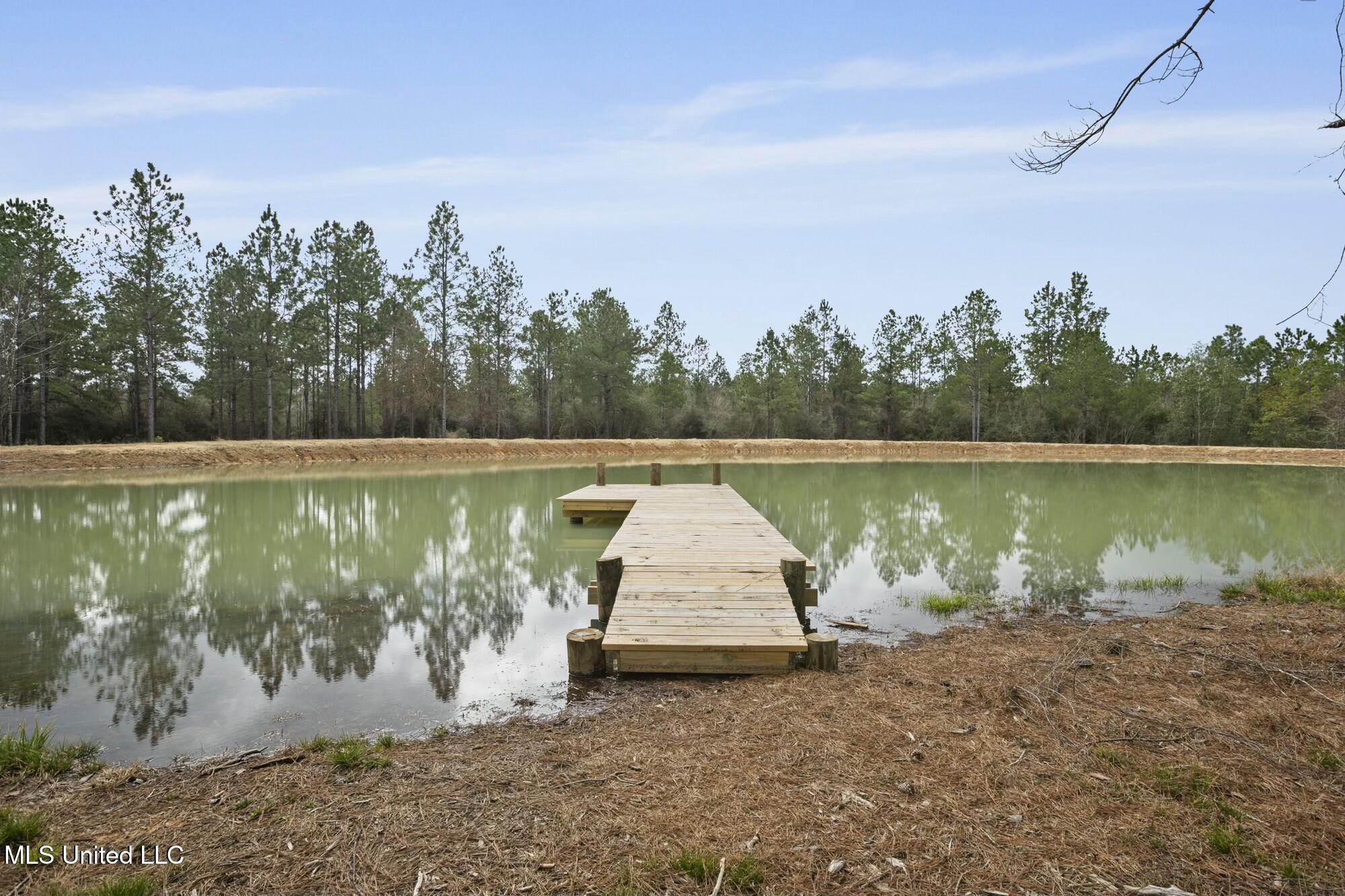 103 Trail Ridge Road, Perkinston, Mississippi image 17