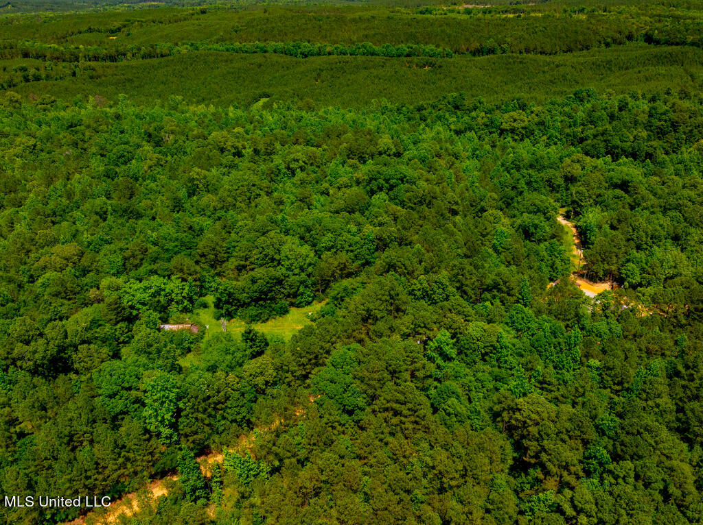 99 County Rd 3221, West, Mississippi image 9