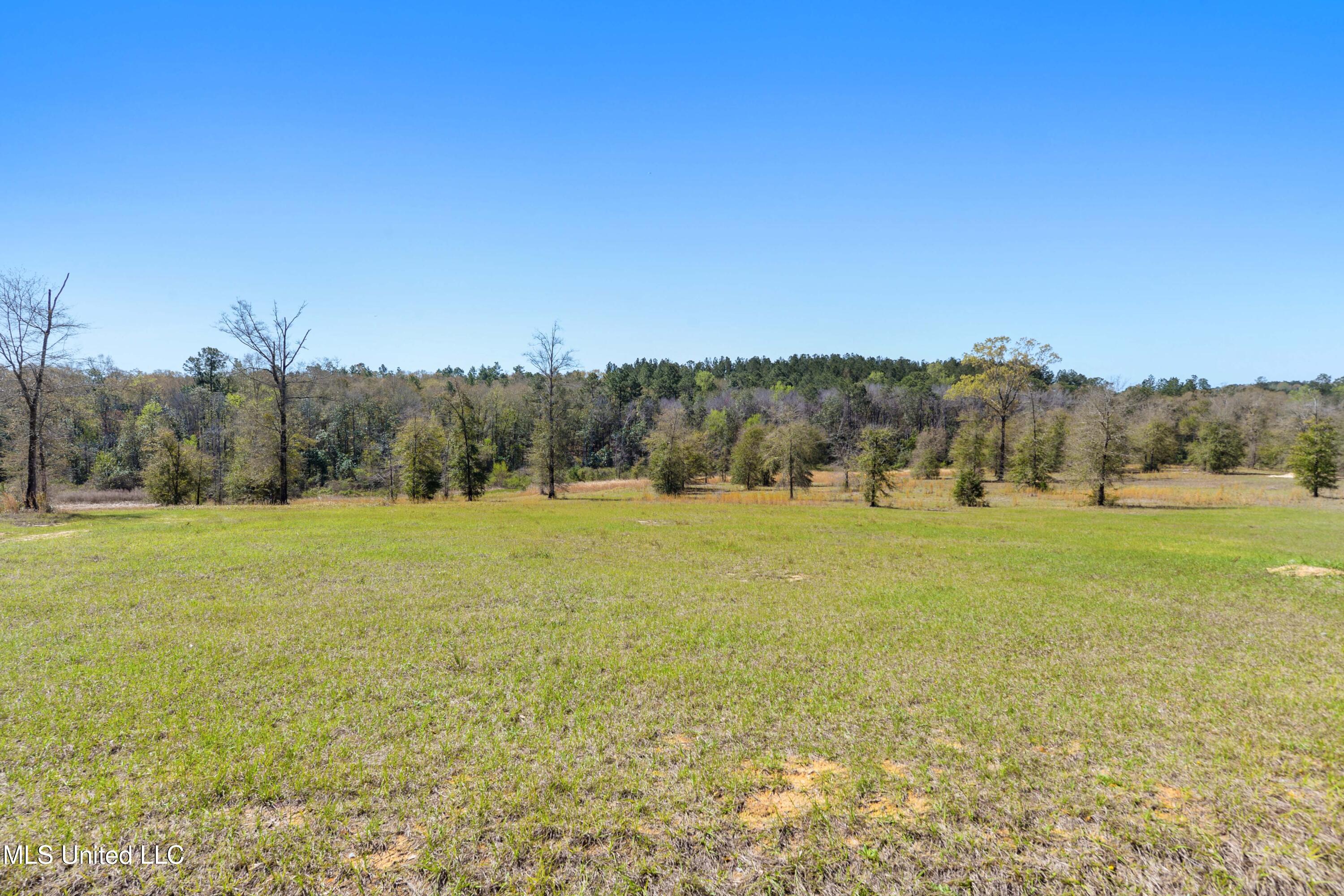 14119 Highway 98, Lucedale, Mississippi image 15