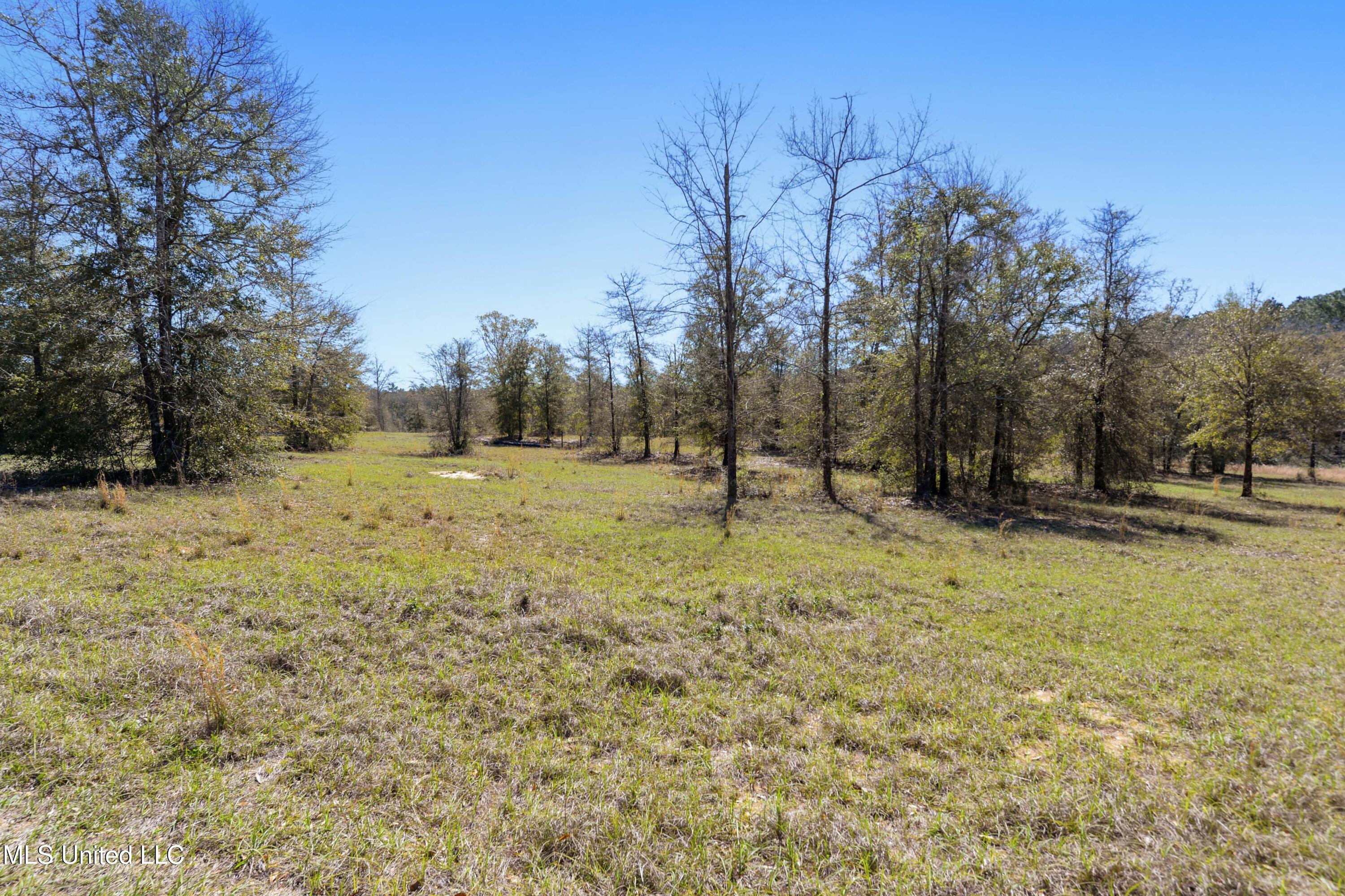 14119 Highway 98, Lucedale, Mississippi image 11