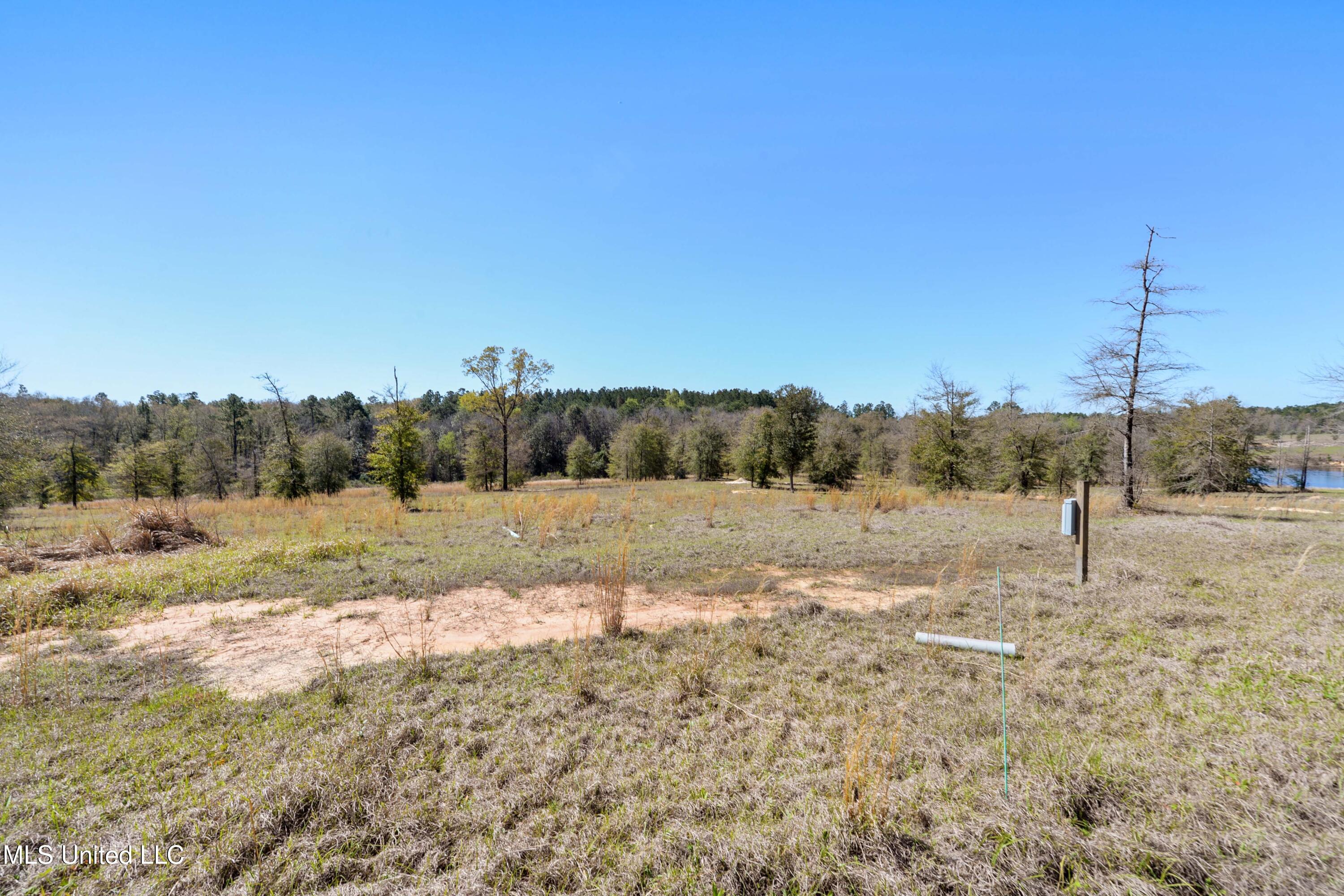 14119 Highway 98, Lucedale, Mississippi image 13