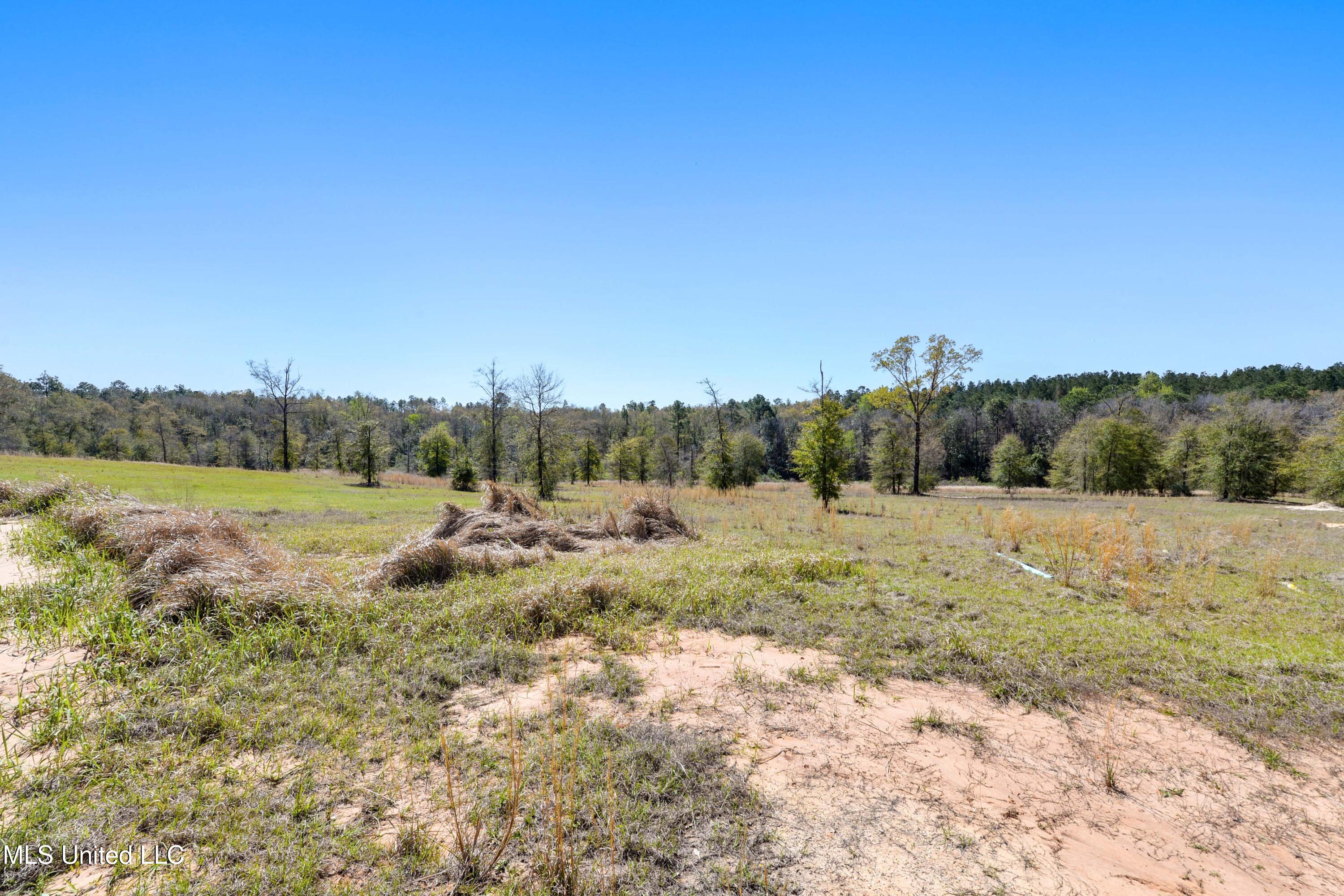 14119 Highway 98, Lucedale, Mississippi image 14
