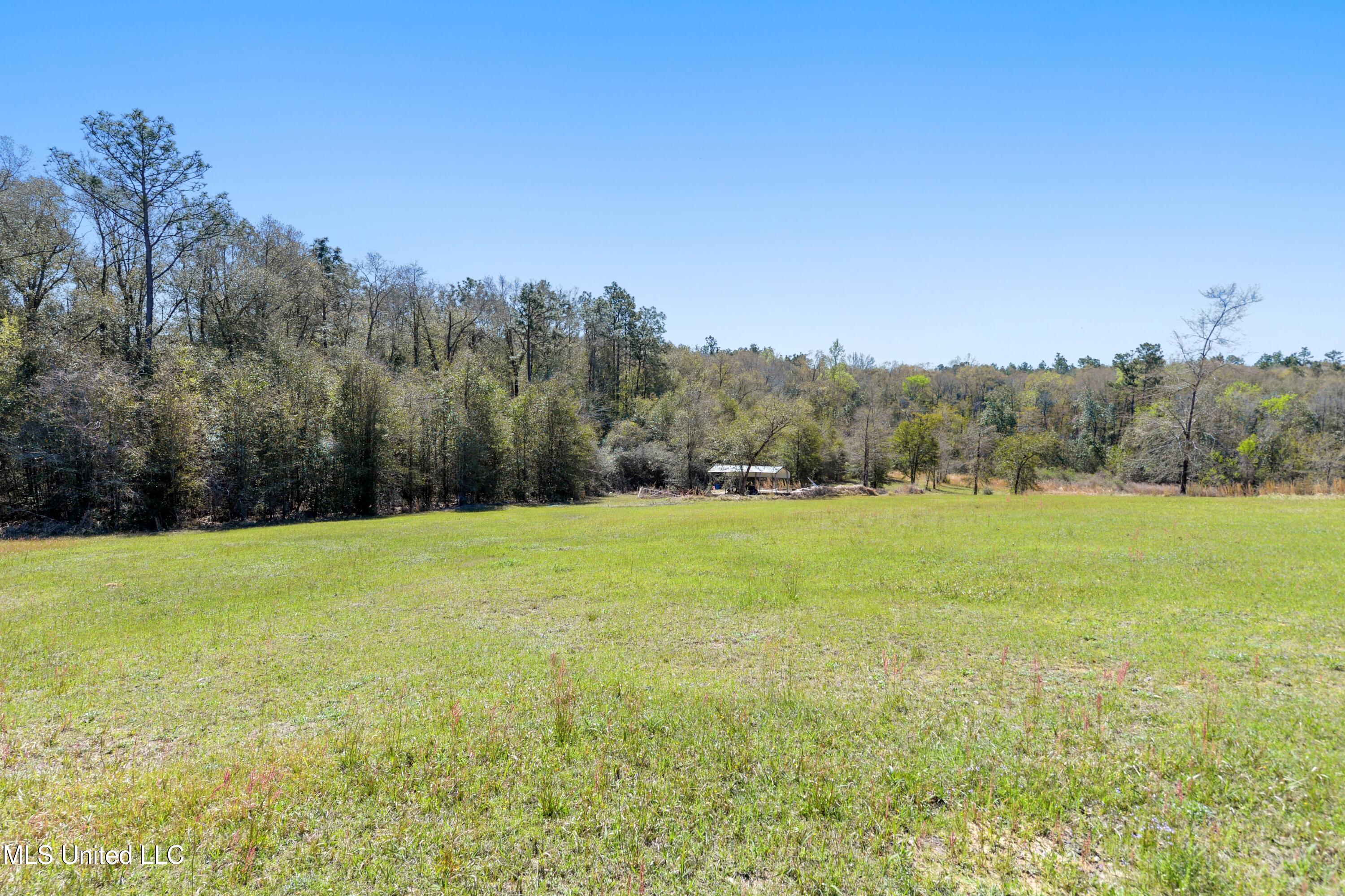 14119 Highway 98, Lucedale, Mississippi image 17