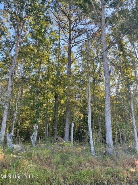 Vacant Land For Sale - Hwy 490<br/> Winston County, Louisville, MS 39339