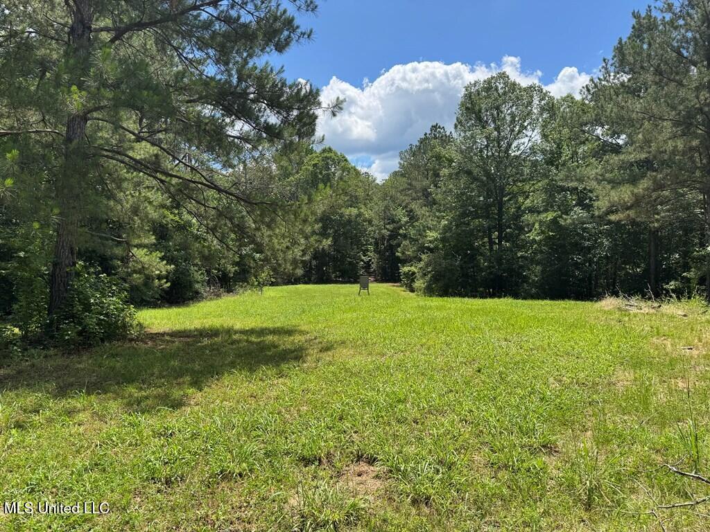 3016 Ashley Road, Hazlehurst, Mississippi image 2
