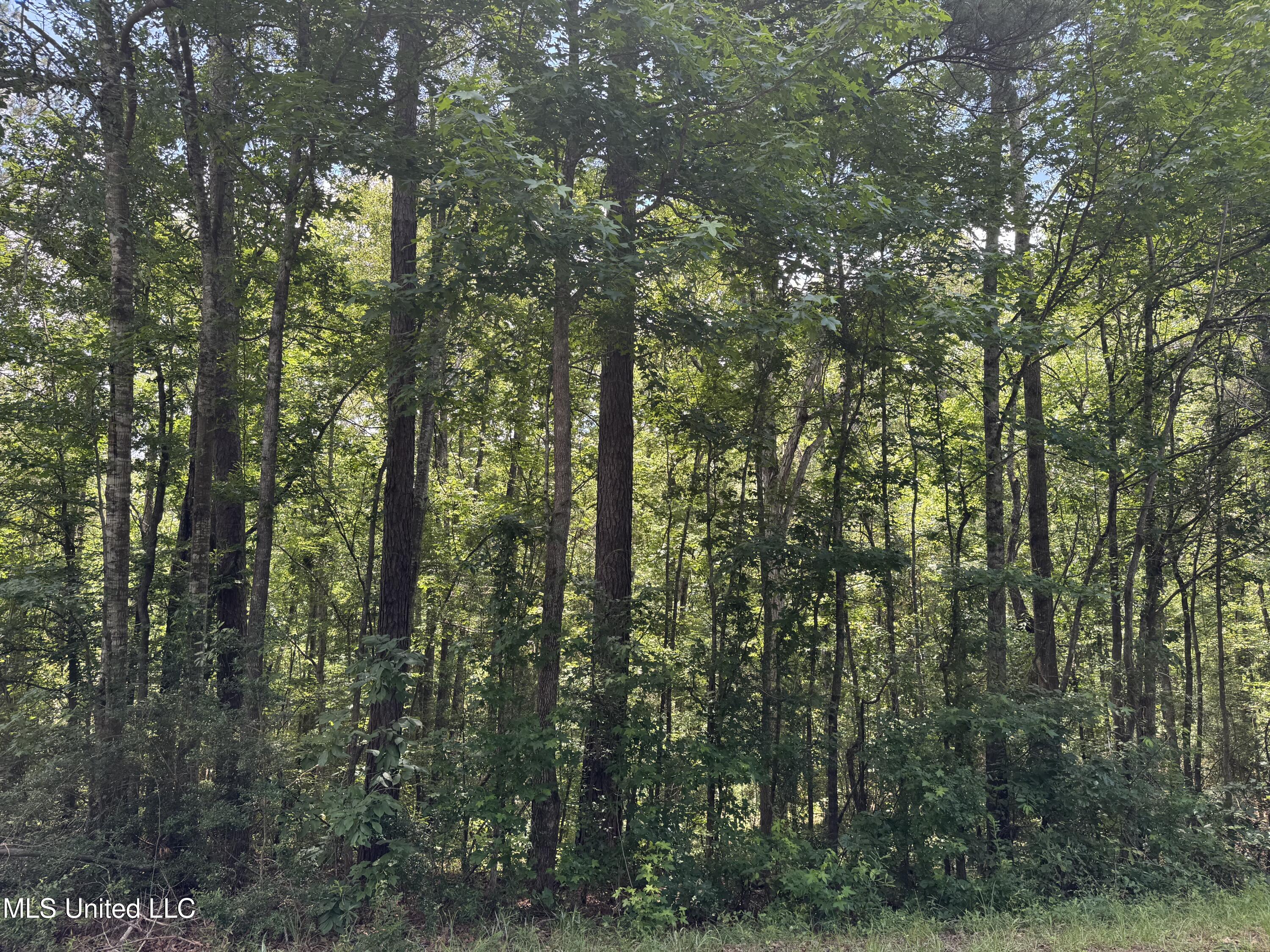 3016 Ashley Road, Hazlehurst, Mississippi image 11
