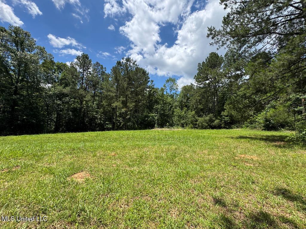 3016 Ashley Road, Hazlehurst, Mississippi image 1