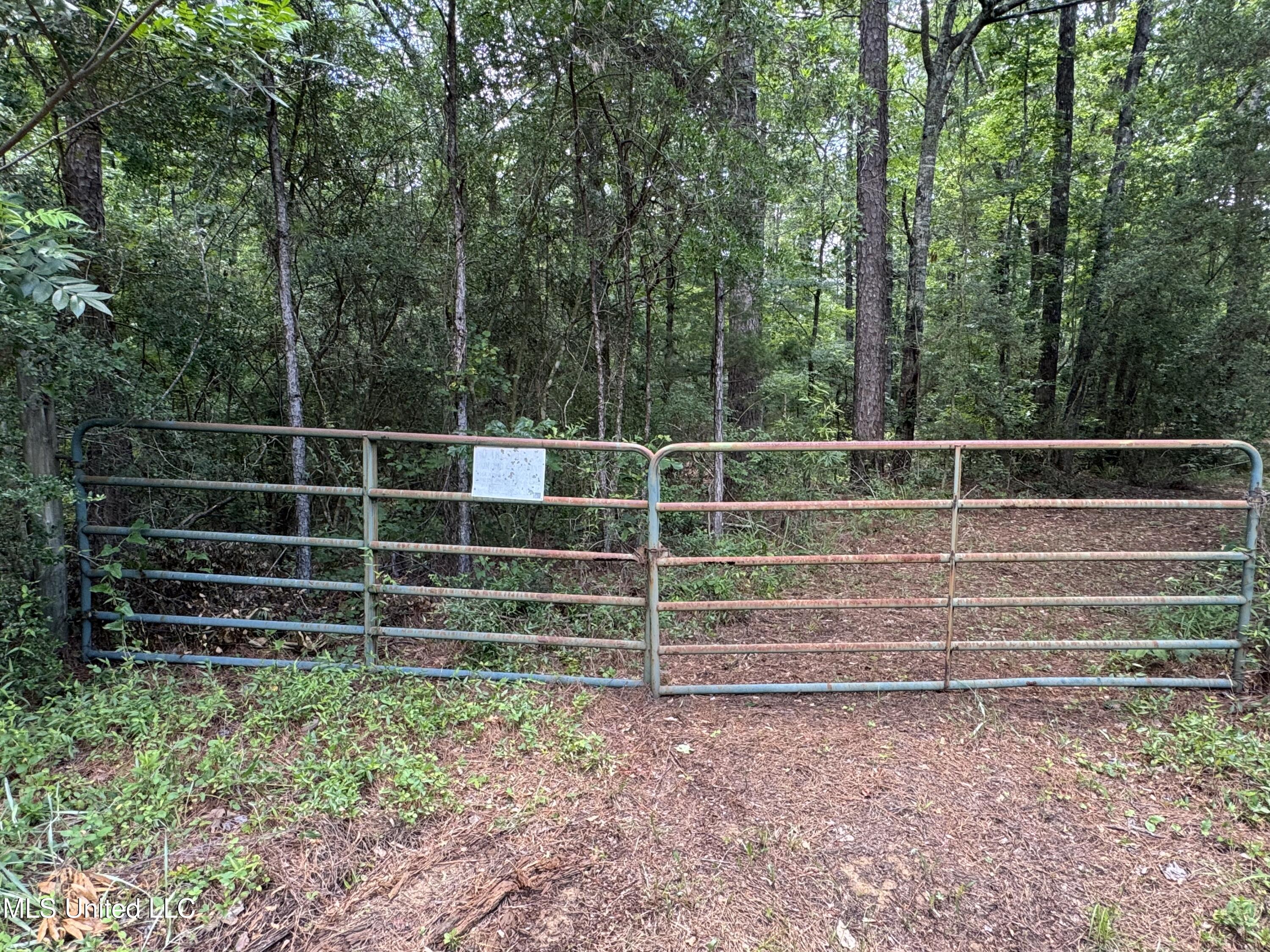 3016 Ashley Road, Hazlehurst, Mississippi image 13