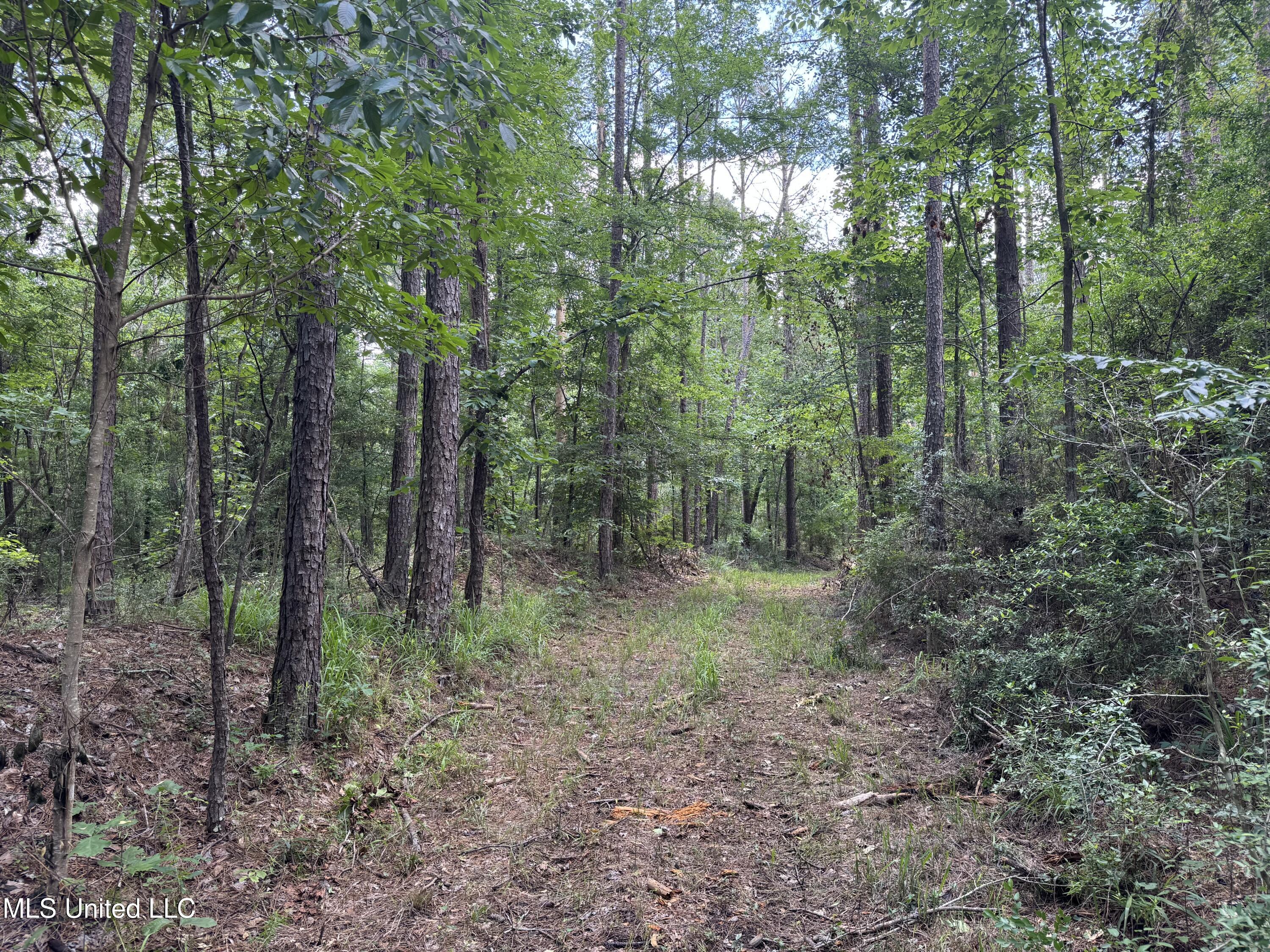 3016 Ashley Road, Hazlehurst, Mississippi image 16