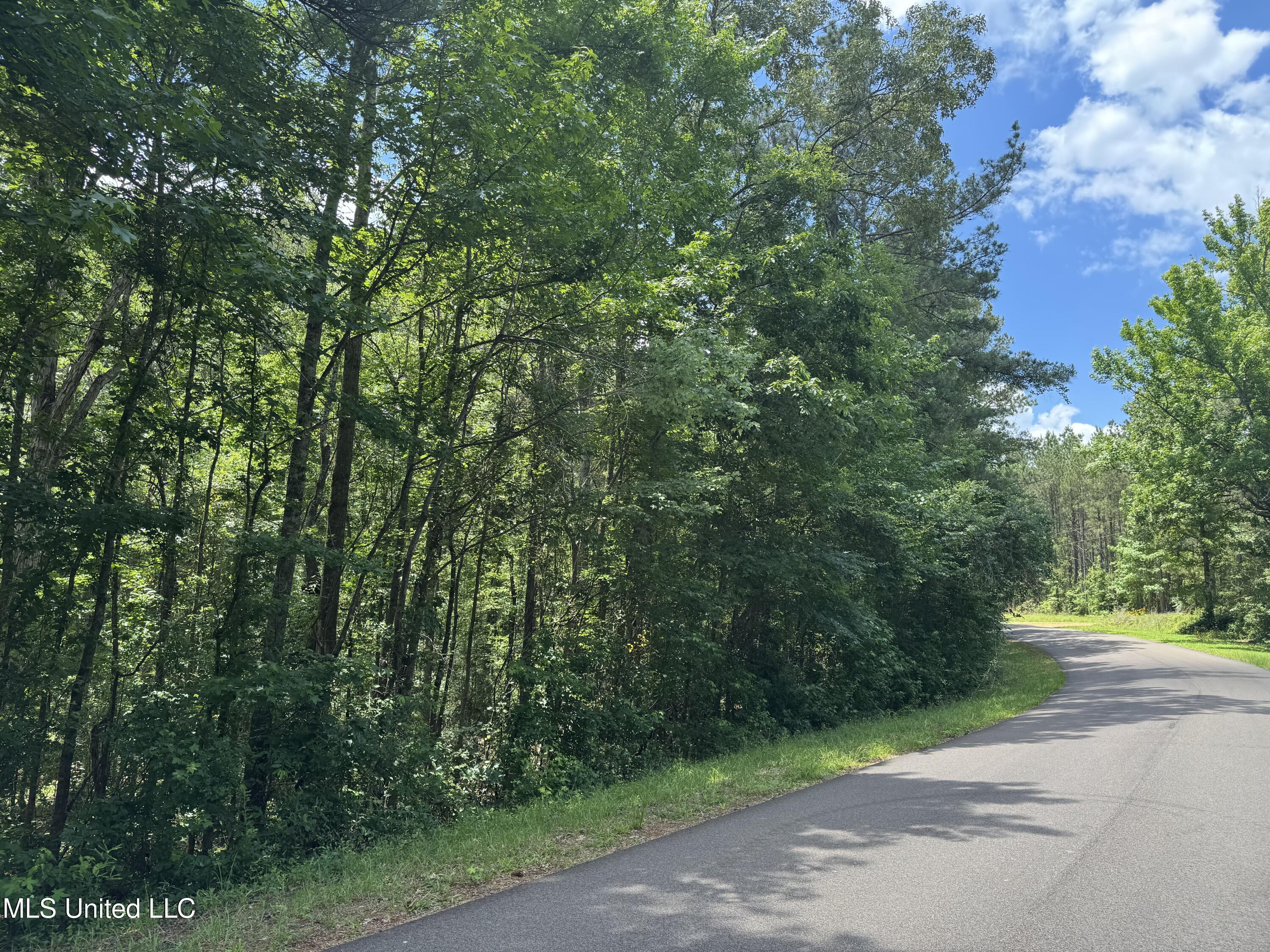 3016 Ashley Road, Hazlehurst, Mississippi image 10