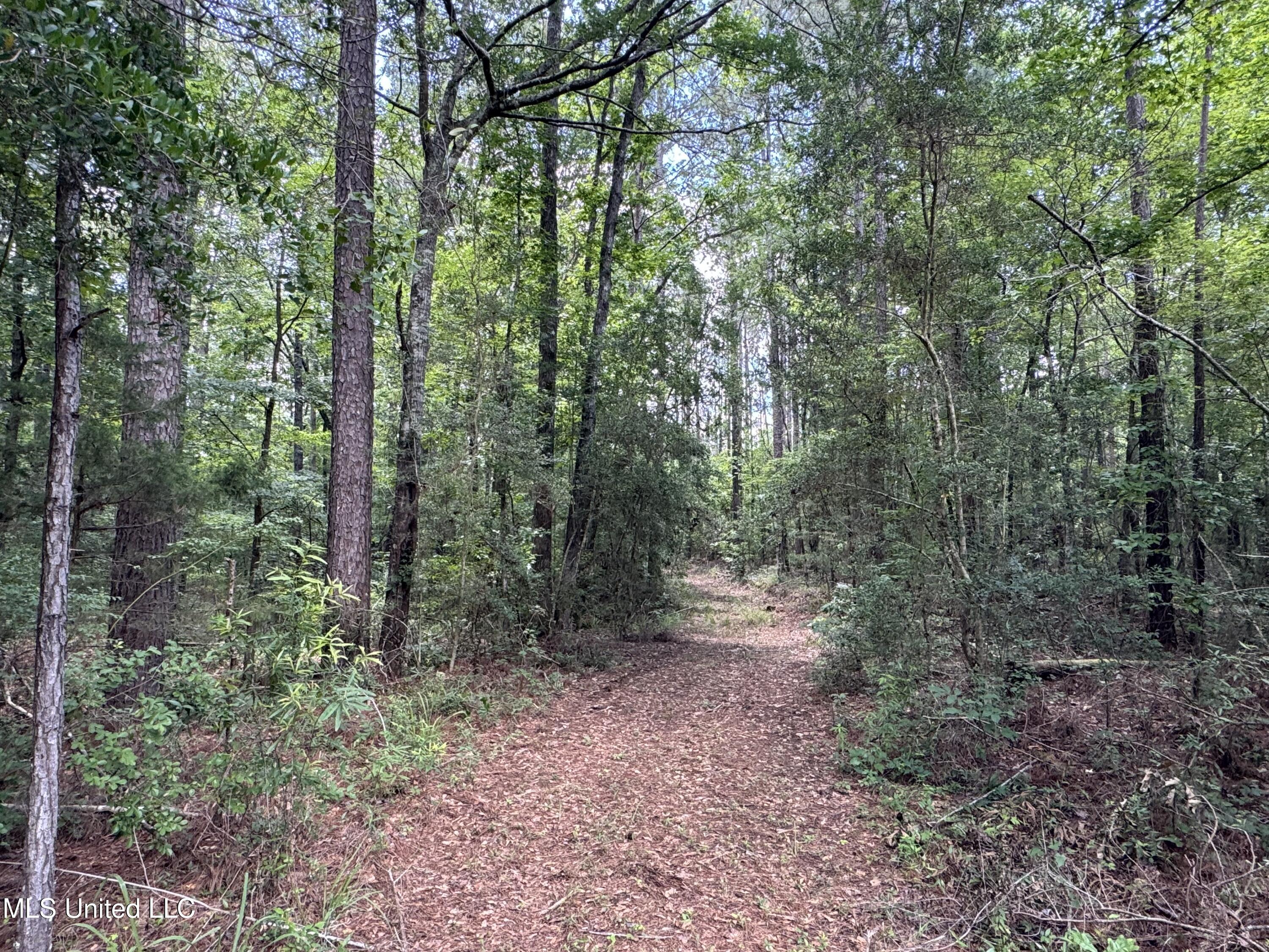 3016 Ashley Road, Hazlehurst, Mississippi image 14
