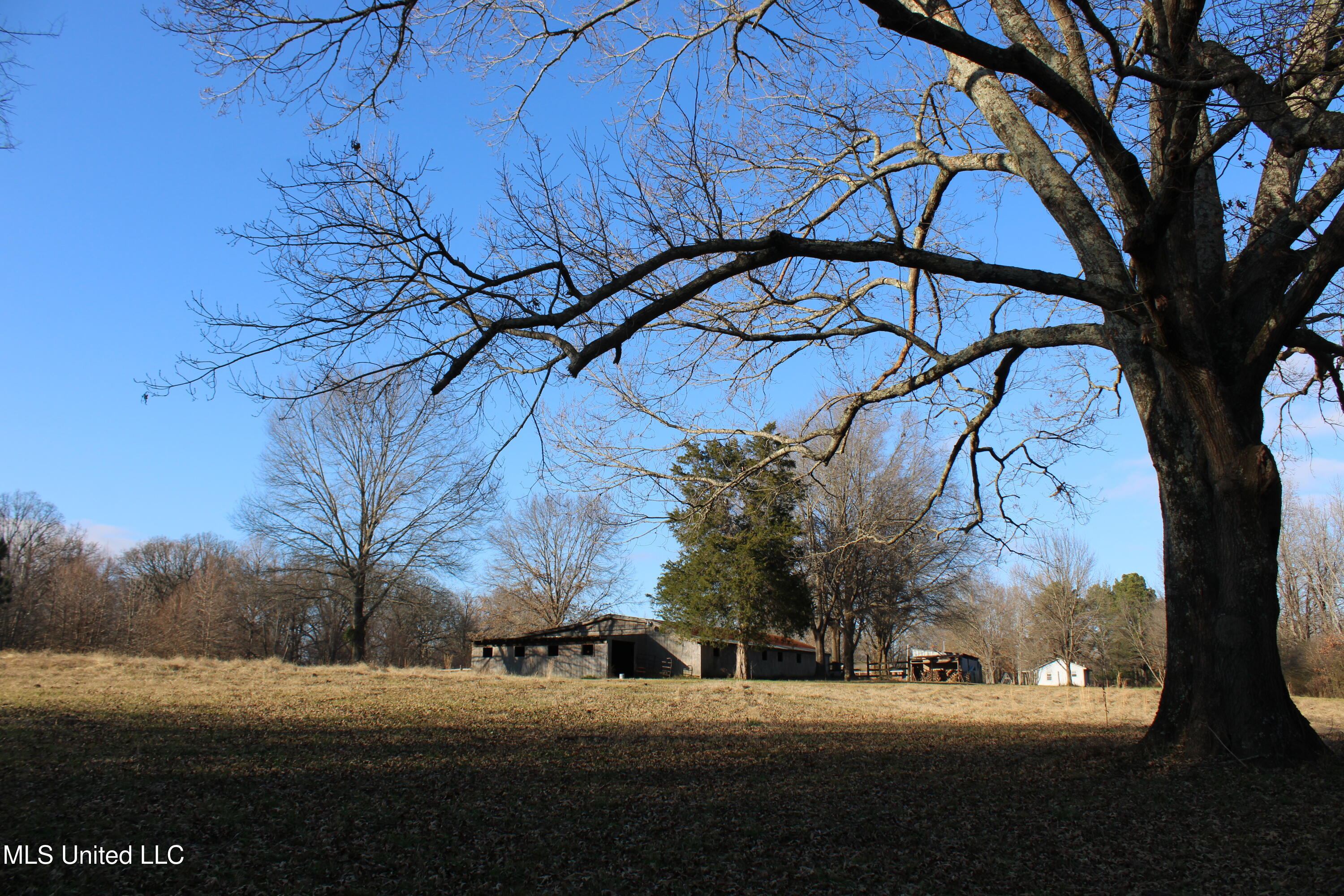 4299 Byhalia Road, Hernando, Mississippi image 15