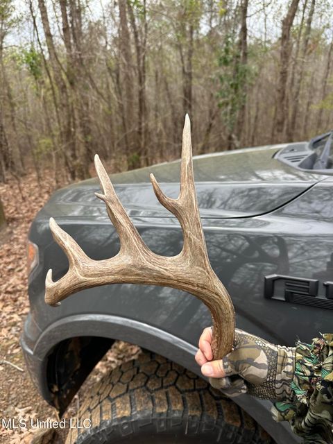 Vacant Land For Sale - Bagasha Road<br/> Vaiden, MS 39176