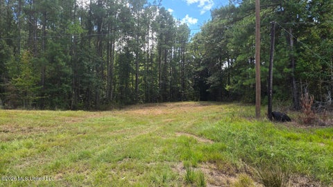 Vacant Land For Sale - 00 E Hwy 84 Road<br/> Franklin County, Roxie, MS 39661