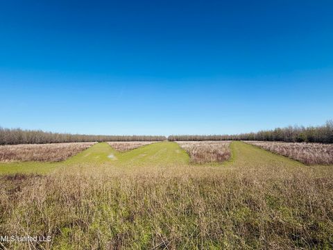 Vacant Land For Sale - Priddy Road<br/> Sharkey County, Rolling Fork, MS 39159