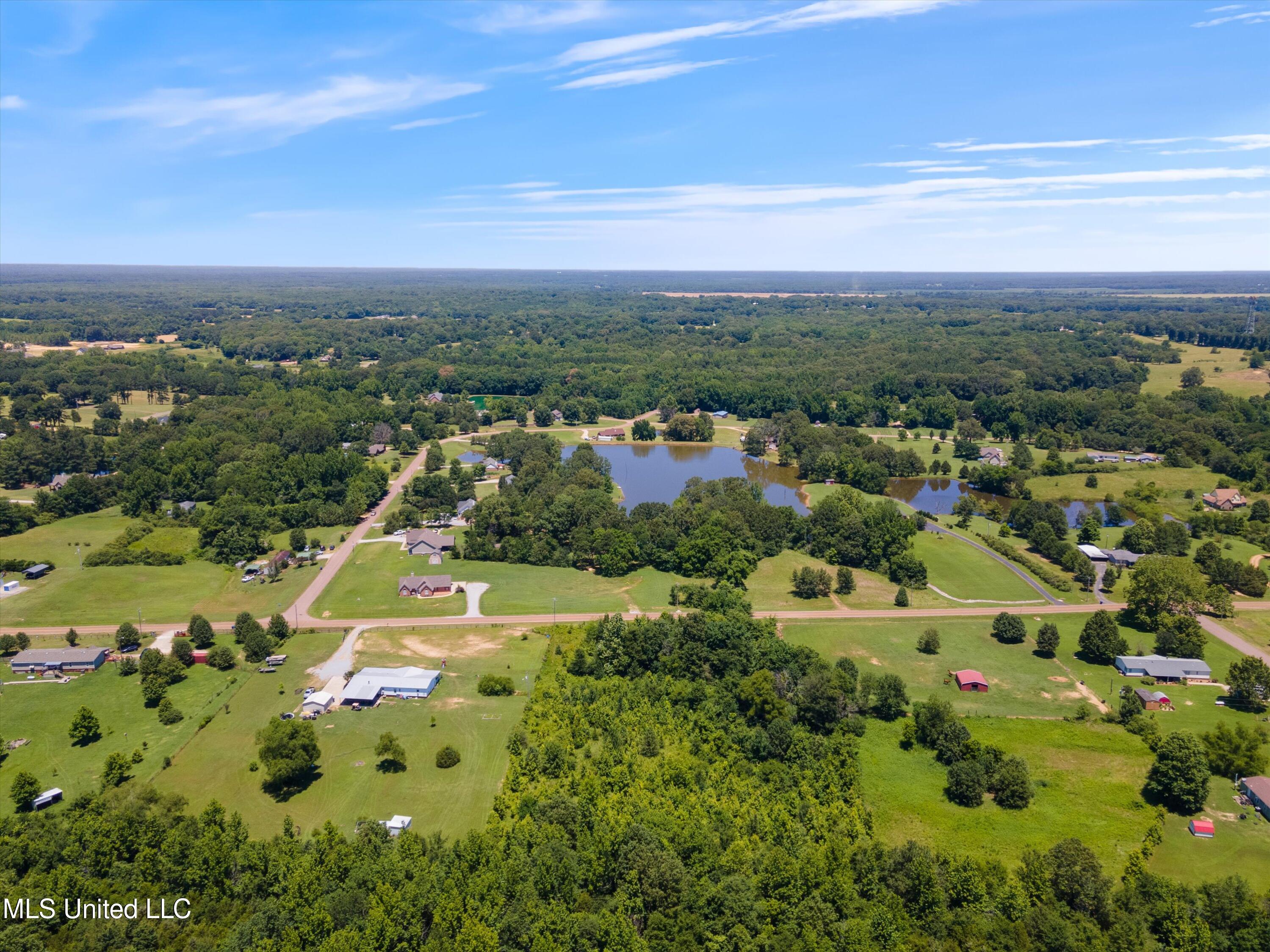 9805 Fox Gate Drive, Hernando, Mississippi image 11