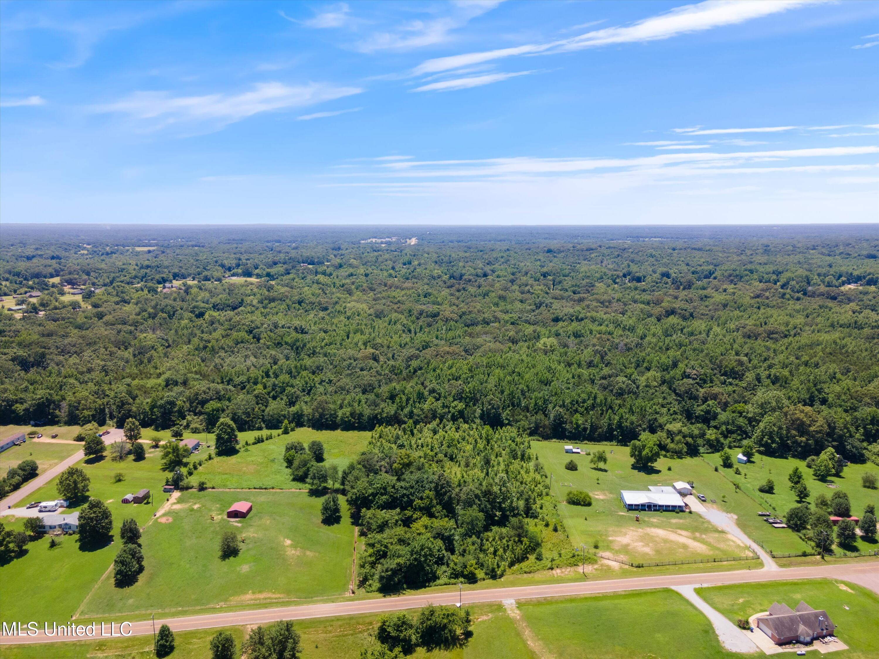 9805 Fox Gate Drive, Hernando, Mississippi image 9