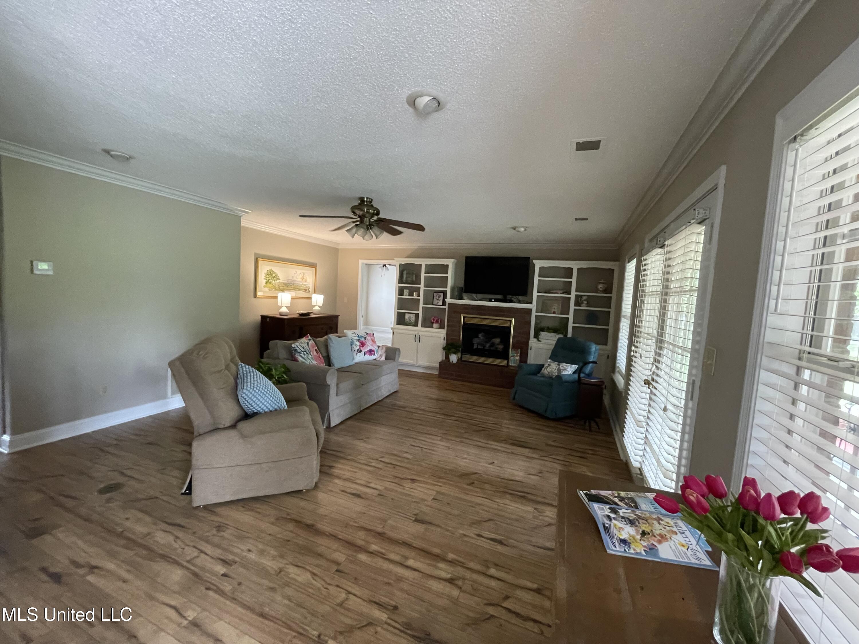 250 Sunnybrook Drive, Senatobia, Mississippi image 9