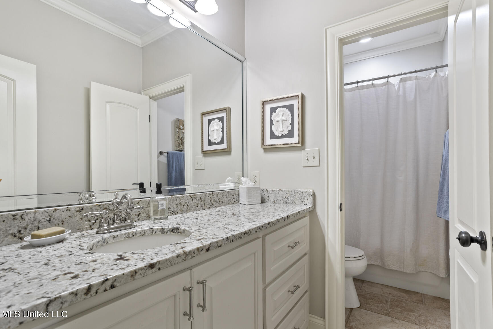 543 Turtle Lane, Brandon, Mississippi image 34