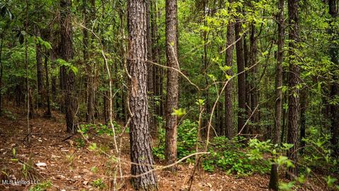 Vacant Land For Sale - 2683 33 Highway<br/> Wilkinson County, Crosby, MS 39633