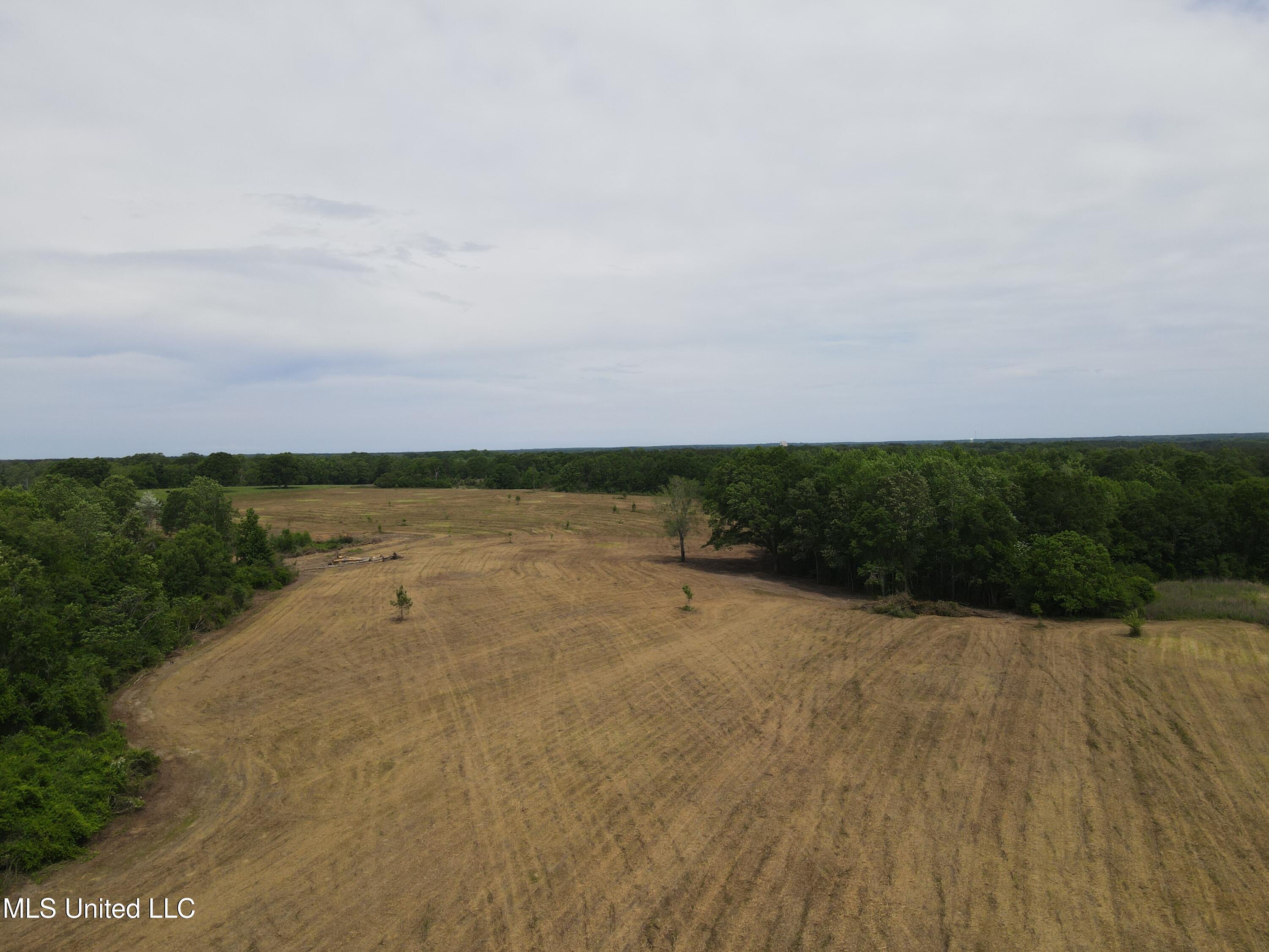 Lester Seals Rd., Poplarville, Mississippi image 1