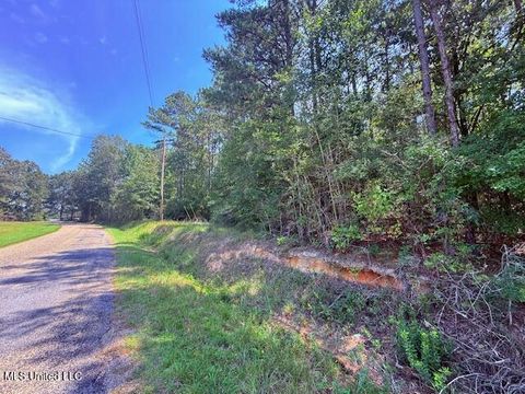 Vacant Land For Sale - Brandon Bay Church Road<br/> Tylertown, MS 39667
