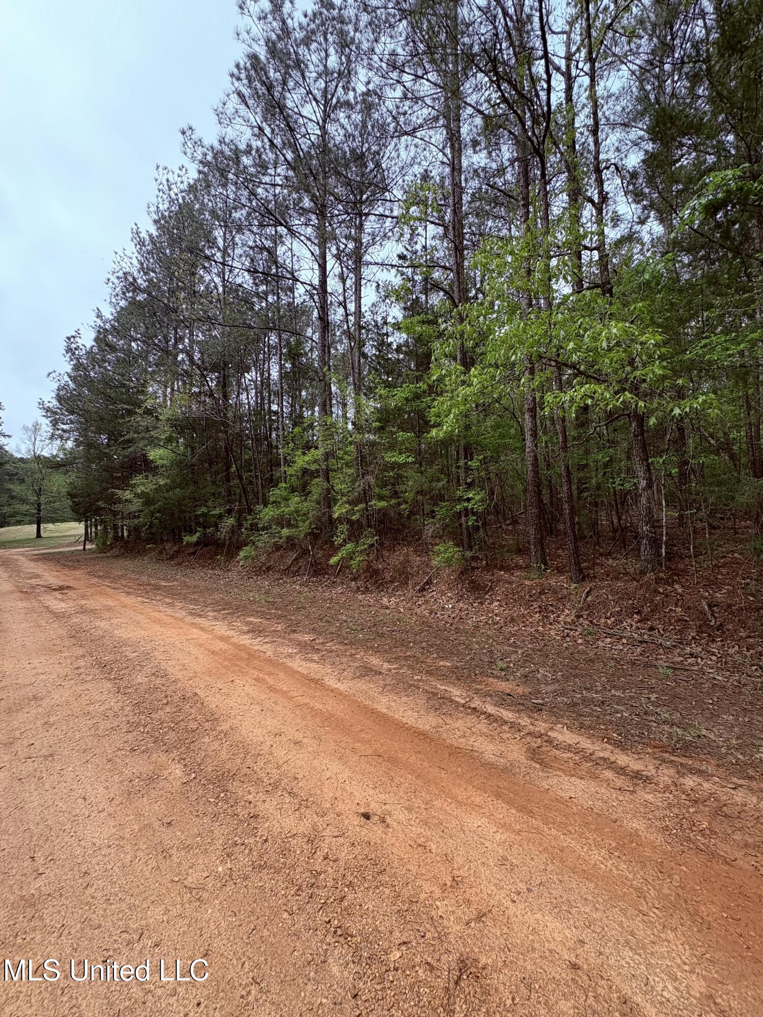 Mannery Place, Richland, Mississippi image 1