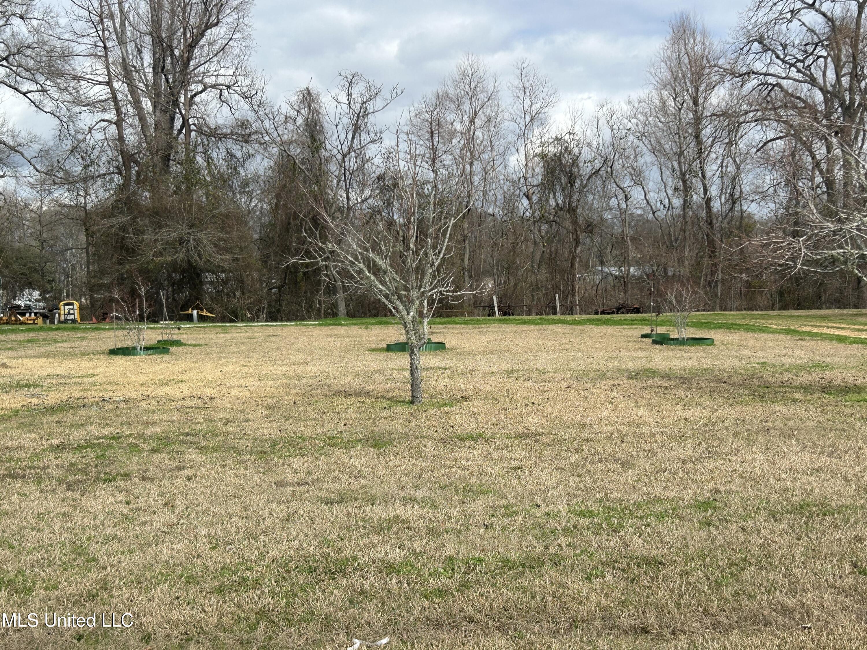 112 Philmore Burley Road, Monterey, Louisiana image 14