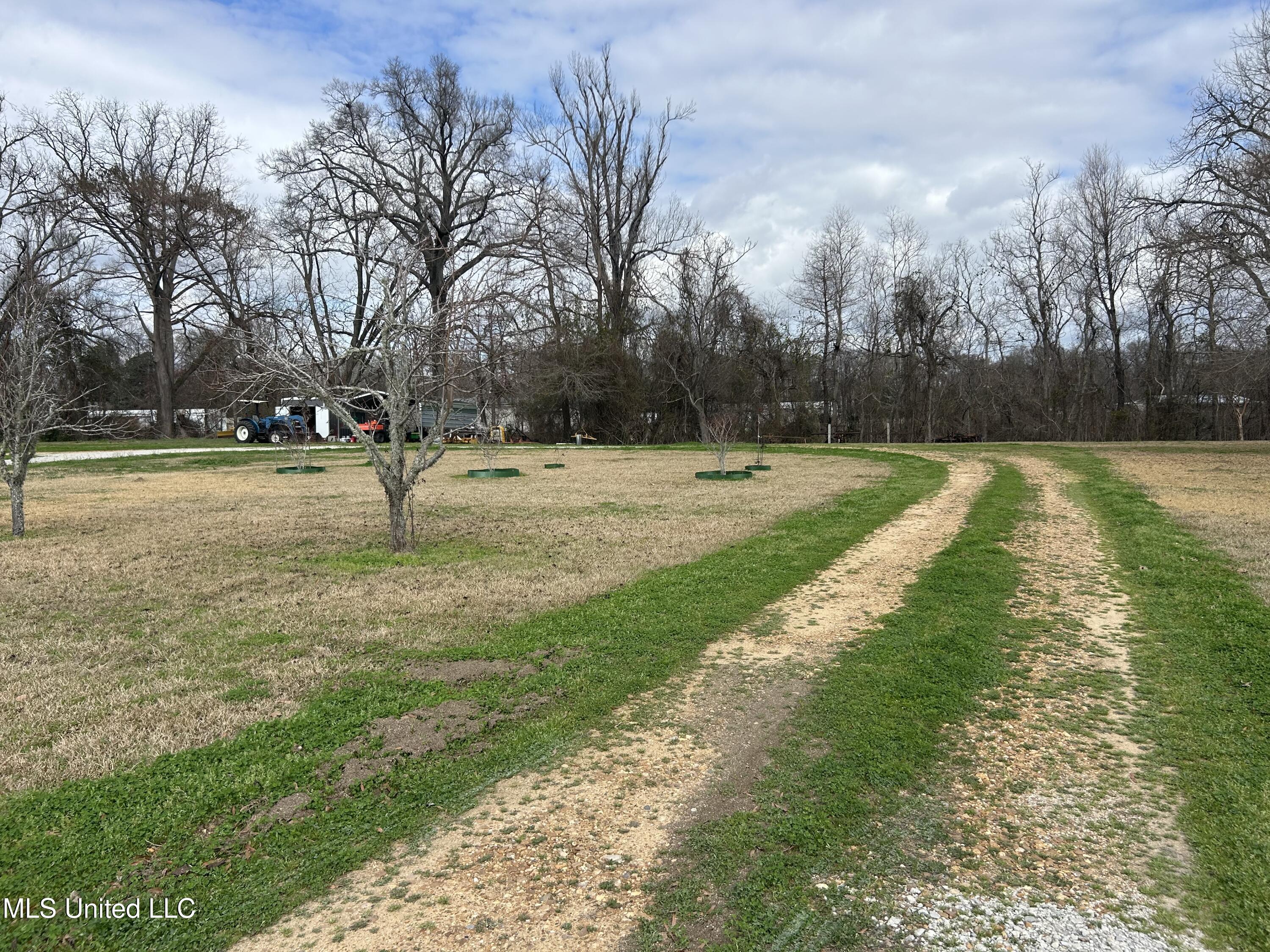 112 Philmore Burley Road, Monterey, Louisiana image 17