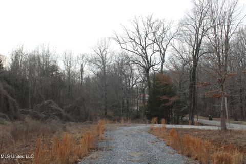 Vacant Land For Sale - 797 Gardner Road<br/> Holly Springs, MS 38635