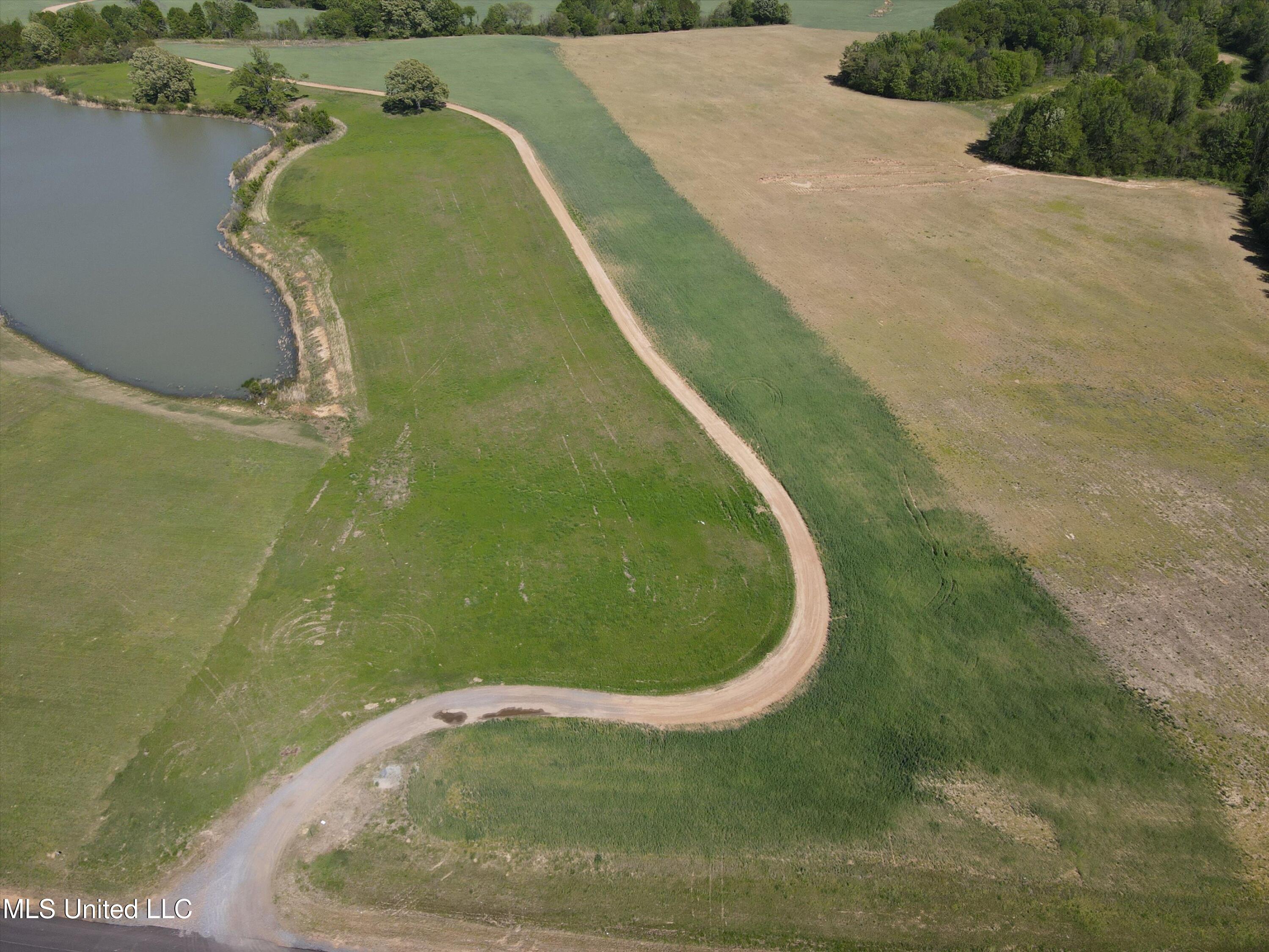 6 Como Trace Drive, Senatobia, Mississippi image 4
