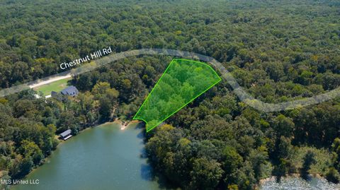 Vacant Land For Sale - 138 Chestnut Hill Rd<br/> Flora, MS 39071