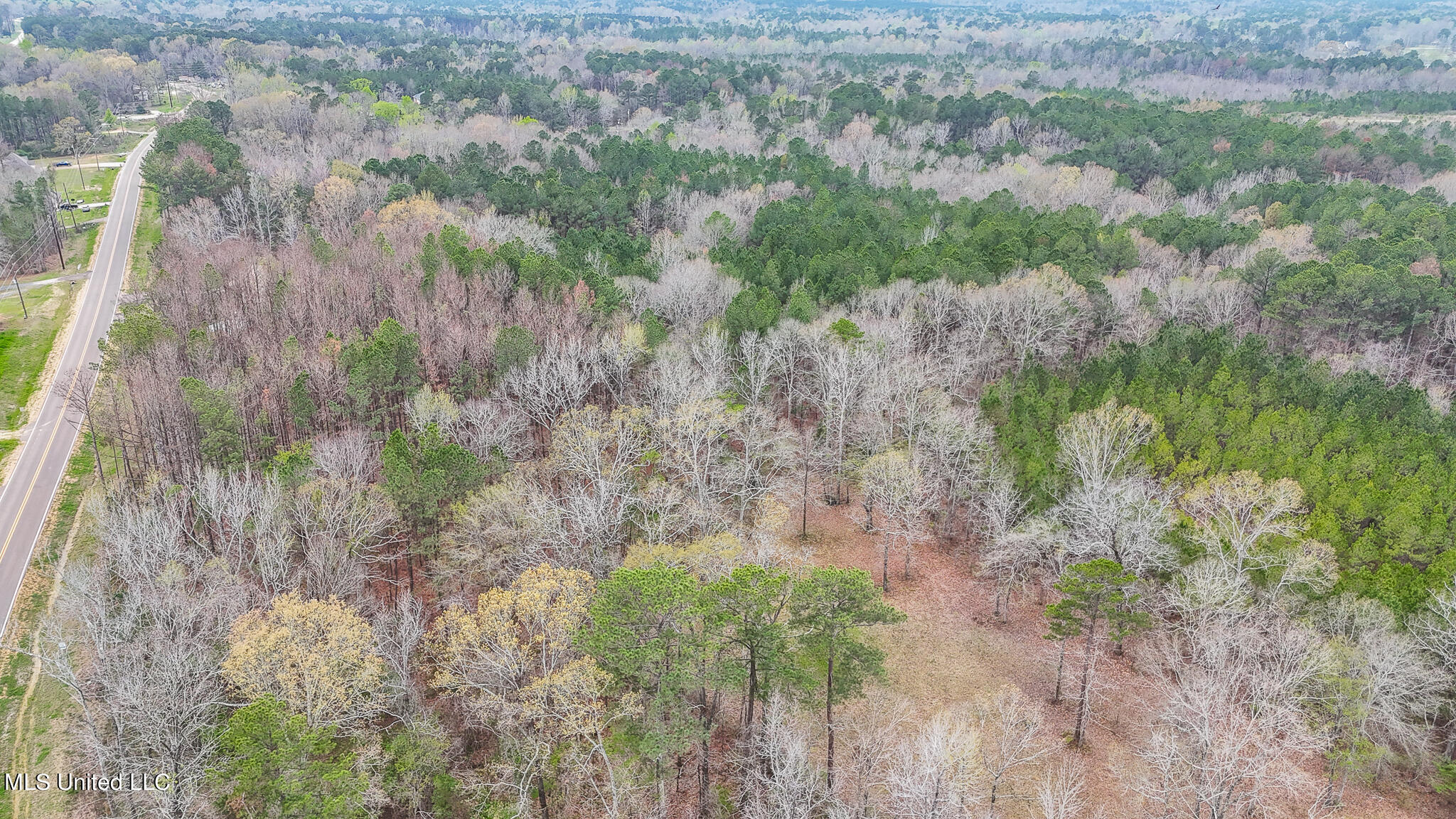 Andrew Chapel Road, Brandon, Mississippi image 11