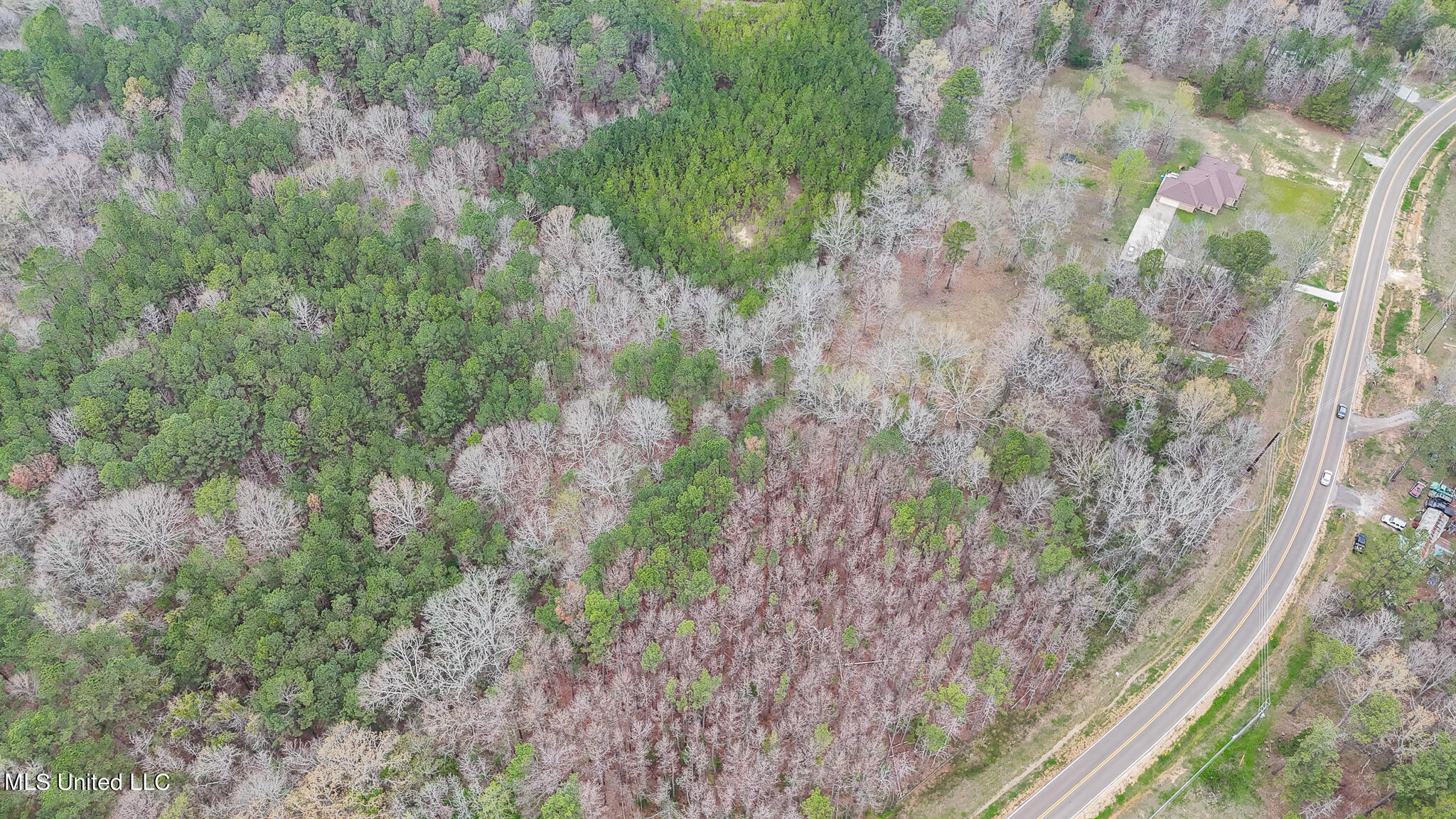 Andrew Chapel Road, Brandon, Mississippi image 7