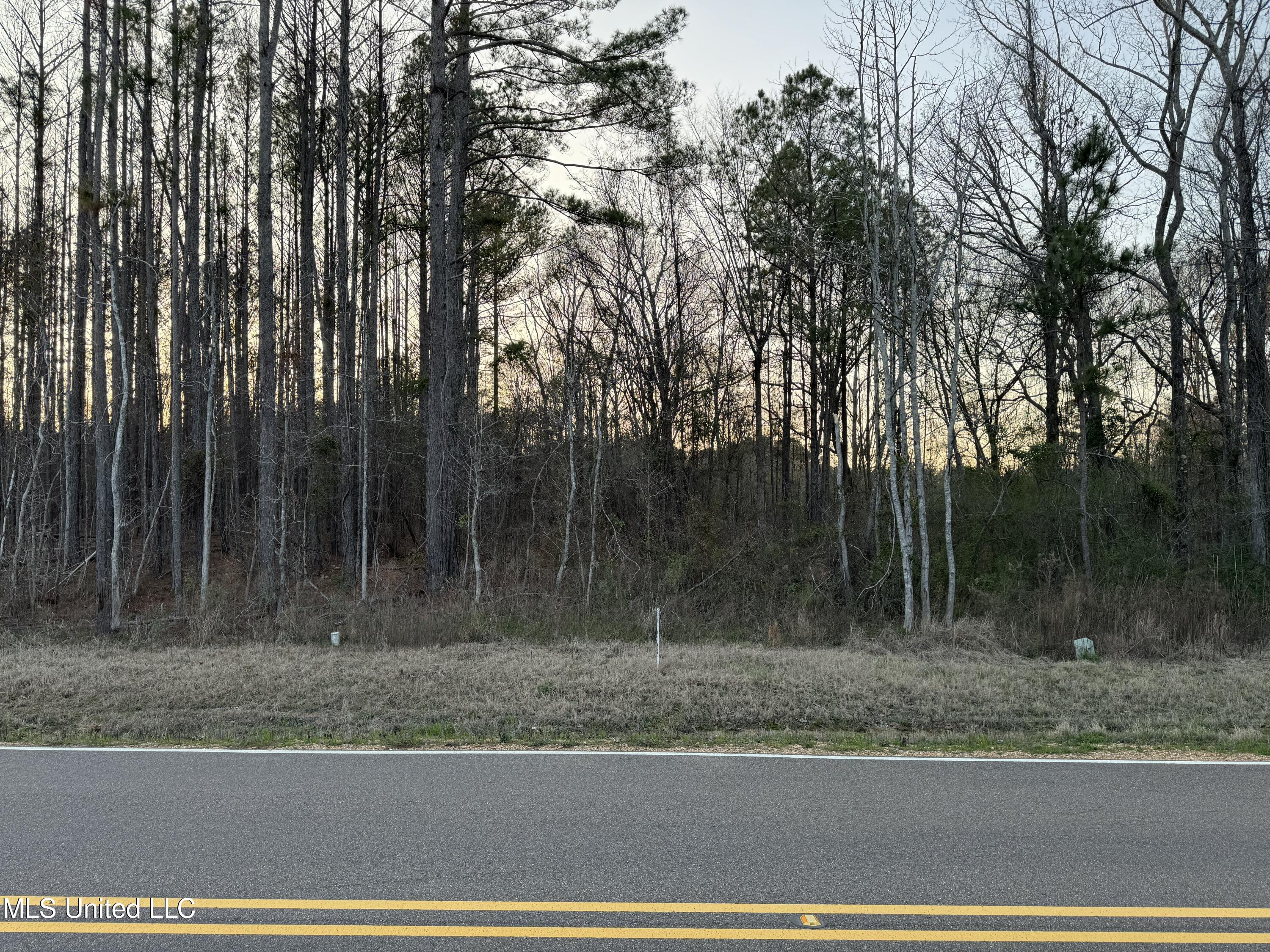 Andrew Chapel Road, Brandon, Mississippi image 1