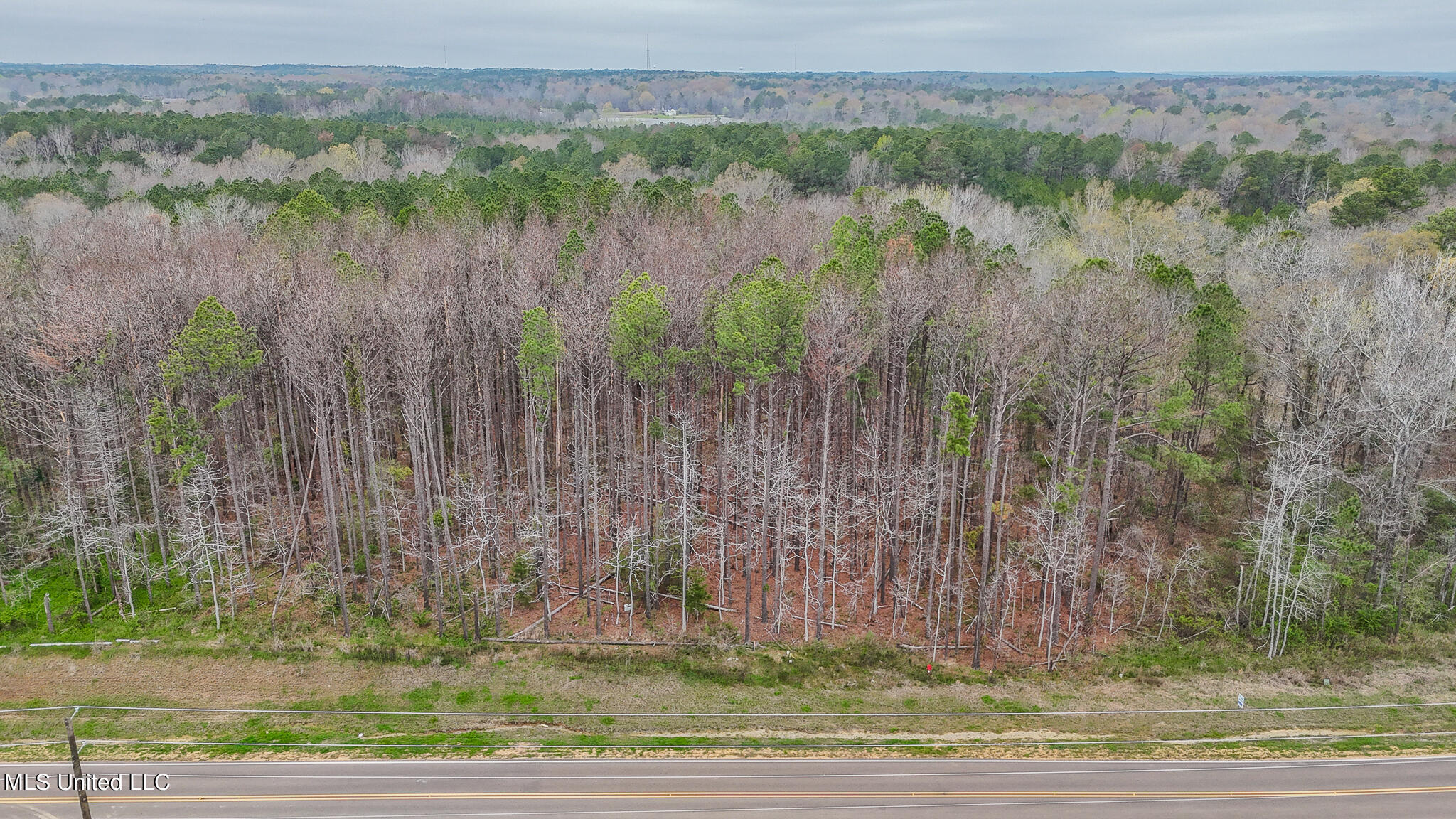 Andrew Chapel Road, Brandon, Mississippi image 13