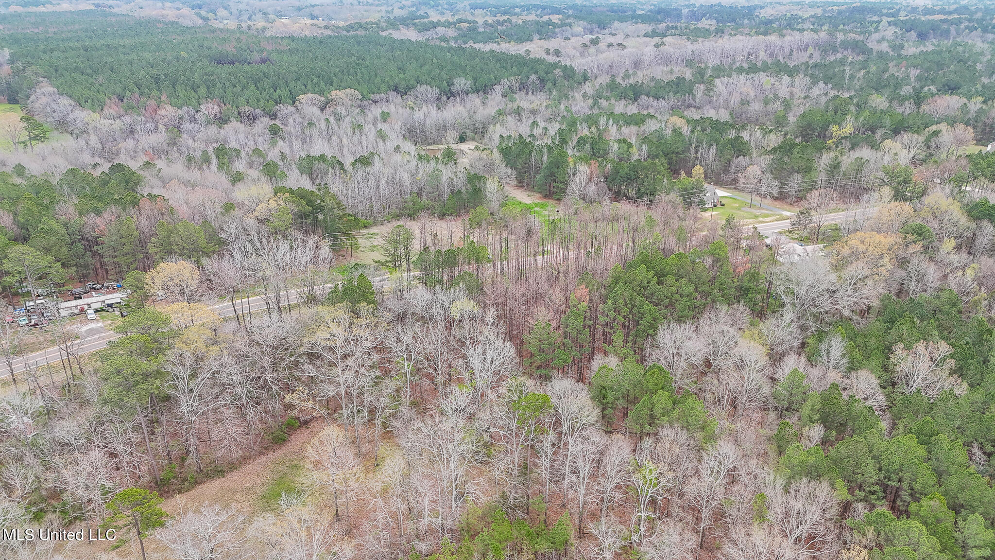 Andrew Chapel Road, Brandon, Mississippi image 10