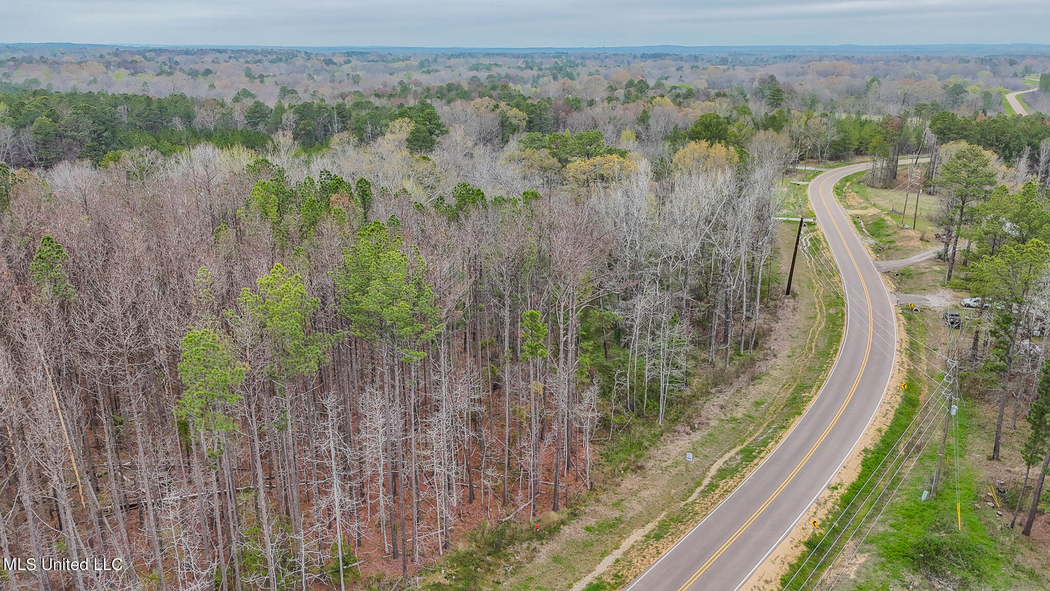 Andrew Chapel Road, Brandon, Mississippi image 2