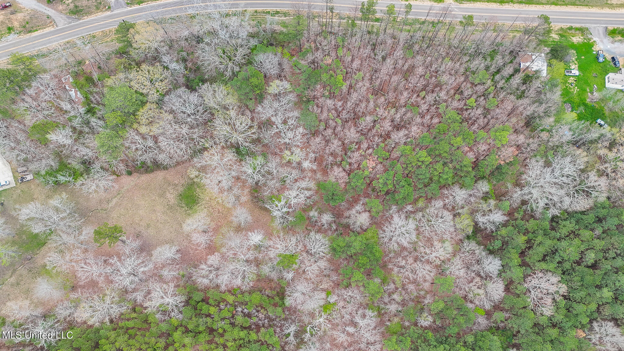 Andrew Chapel Road, Brandon, Mississippi image 9