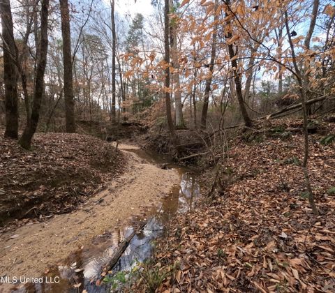 Vacant Land For Sale - Saint John Road Road<br/> Braxton, MS 39044