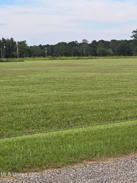 Vacant Land For Sale - 19 Dale View Drive<br/> Carriere, MS 39426