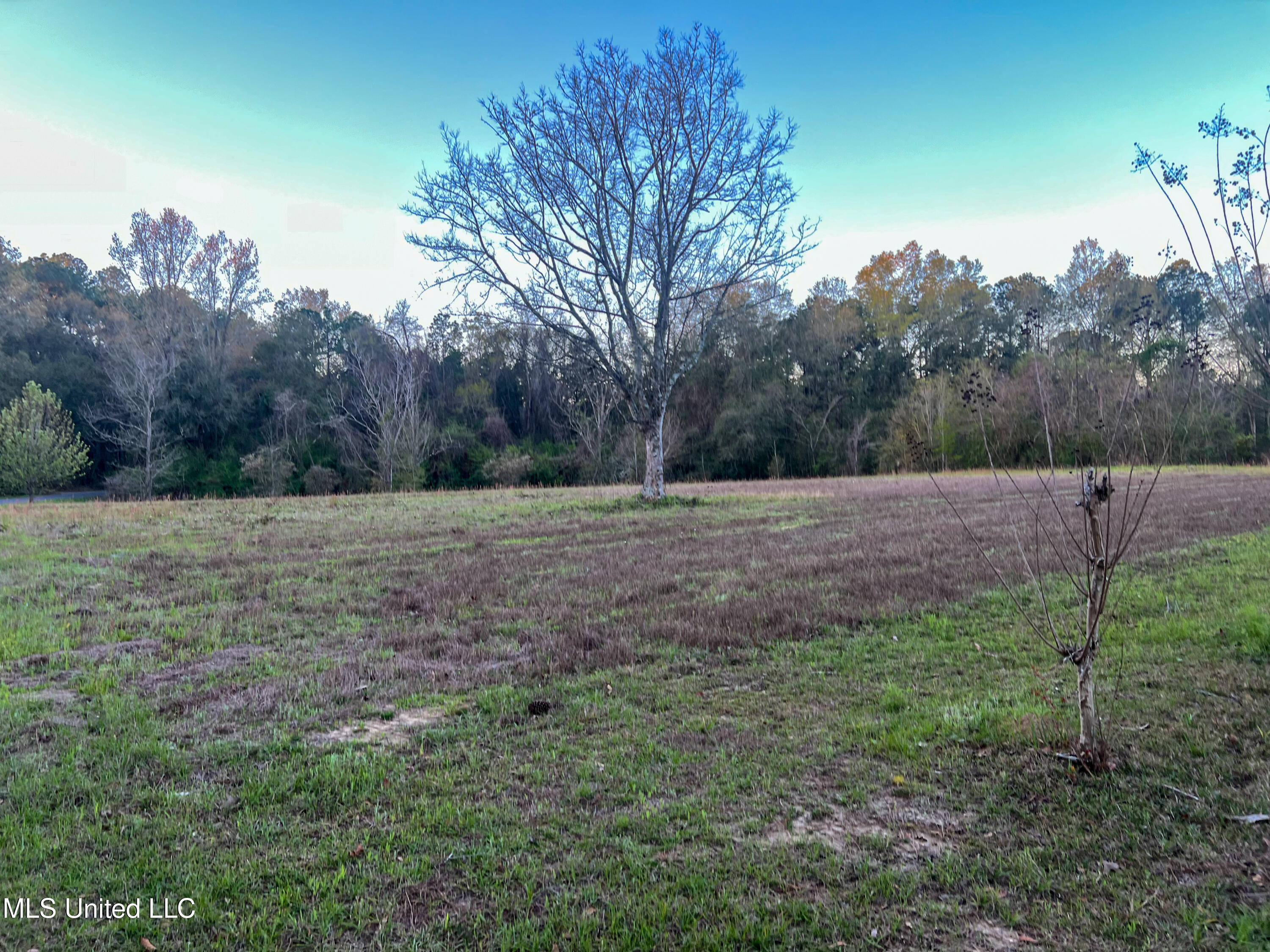 258 Wes Havard Road, Lucedale, Mississippi image 2