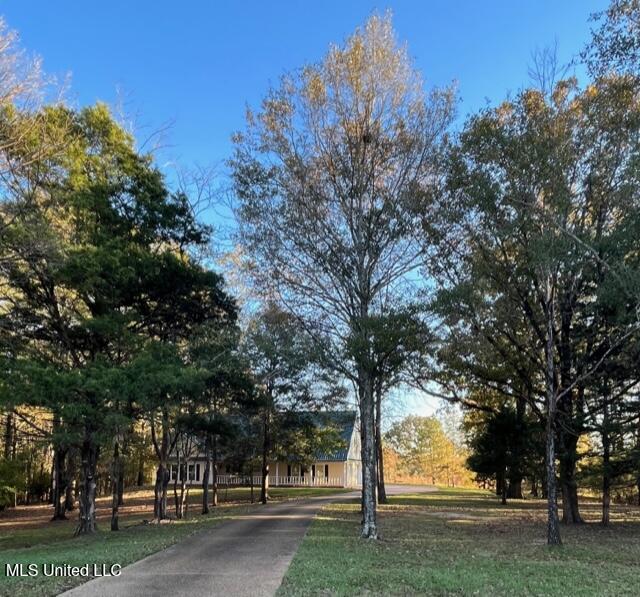 208 Crescent H Drive, Terry, Mississippi image 3