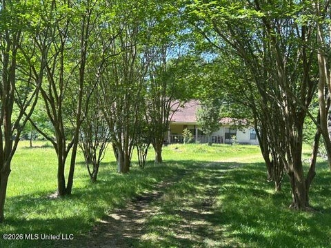 Homes For Sale - 6180 Hamp Lea Road<br/> Amite County, Liberty, MS 39645