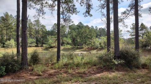 Vacant Land For Sale - 5279 Highway 13<br/> Lumberton, MS 39455