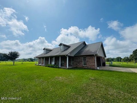 Homes For Sale - 1168 Clem Nettles Road Road<br/> Jayess, MS 39641